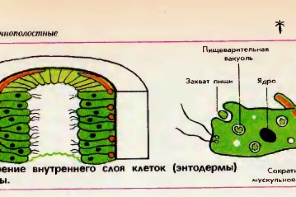 Как восстановить аккаунт на кракене даркнет