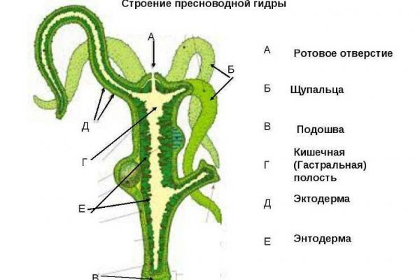 Кракен что за сайт