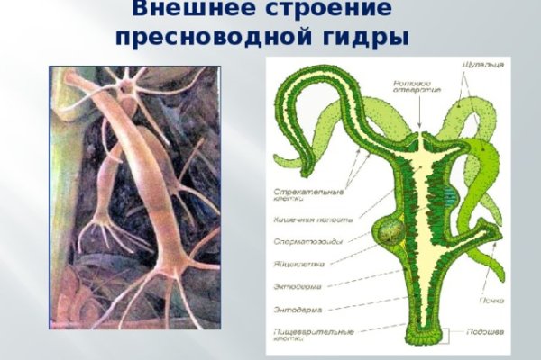 Взломали аккаунт на кракене что делать